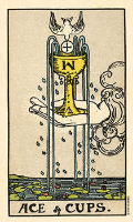 Cups 1 rw.png|right  lp